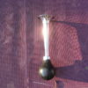 Poire klaxon